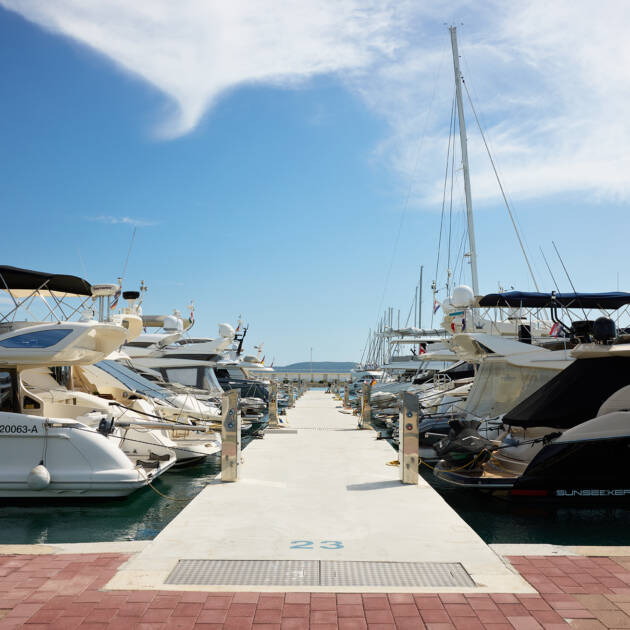 Humanitarni doprinos