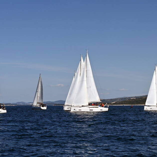 Registration for Lions regatta 2026